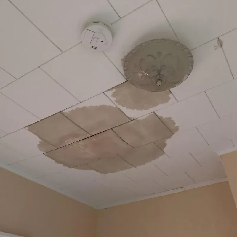 Ceiling Water Damage Repair in Pleasant Gap, PA