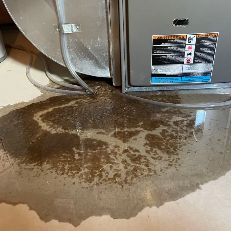 Pipe Burst and Leak Restoration in Pleasant Gap, PA
