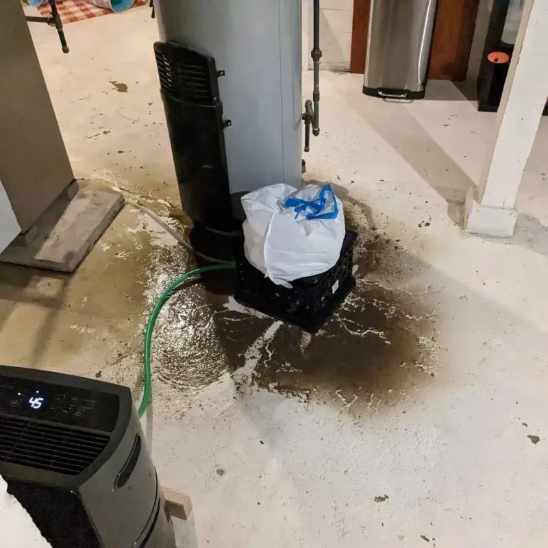Sewage Backup Cleanup Service in Pleasant Gap, PA